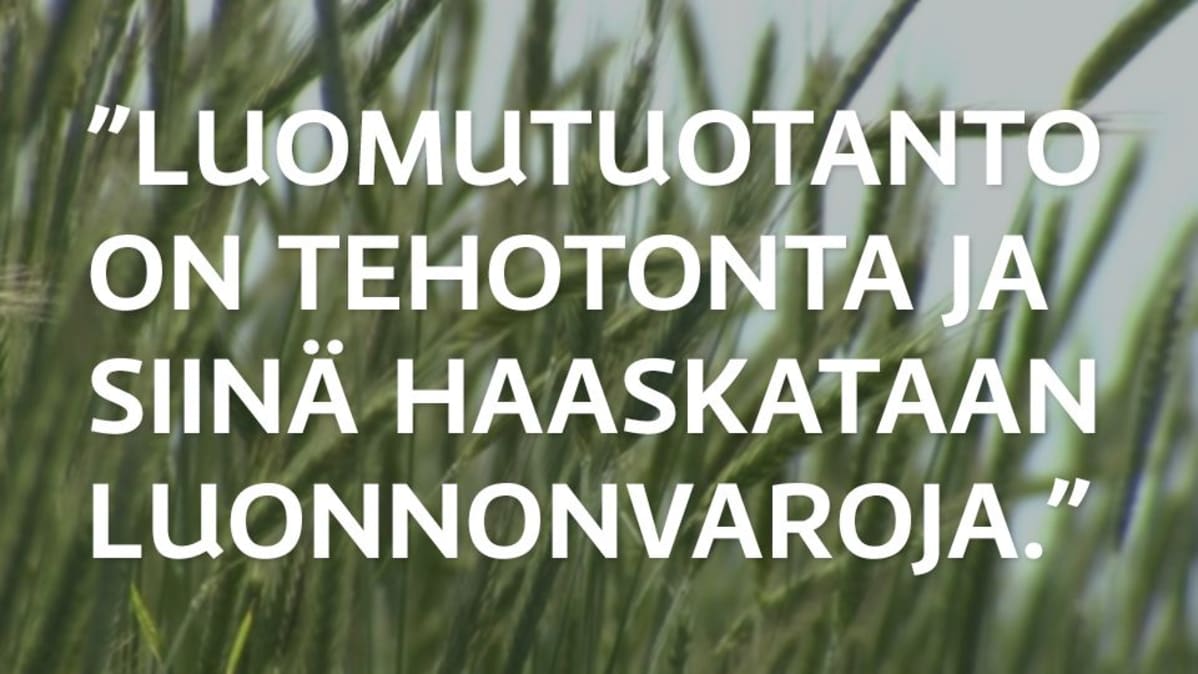Grafiikka
