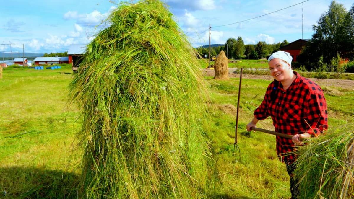 Toimittaja testaa heinäntekoa
