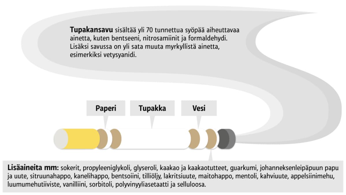 Grafiikka.