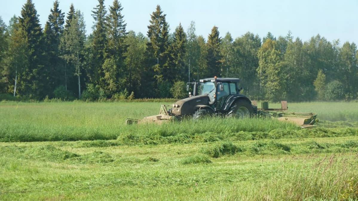 traktori, niittokone, säilörehu, heinänteko