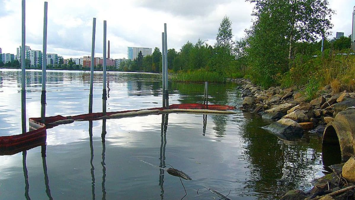 Öljyä Jyväsjärven Aholaidan rantaan tulee alueelle laskevasta sadevesiviemärin purkautumisputkesta.