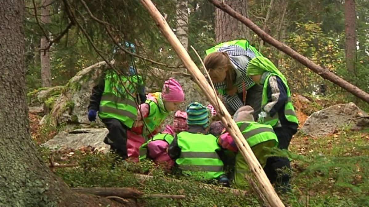 Lopset ja päiväkotiohjaaja katselevat kuusen käpyjä maassa.
