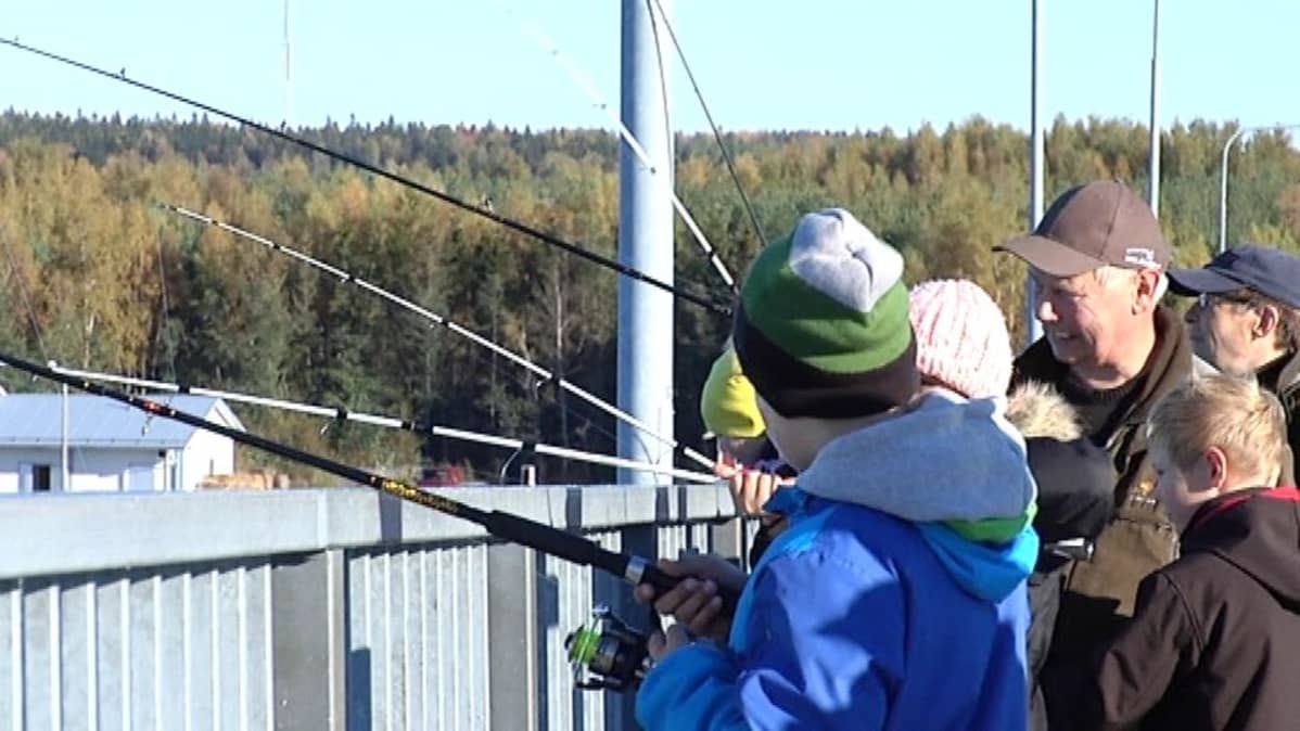 Silakan kalastusta Raippaluodon sillalla.