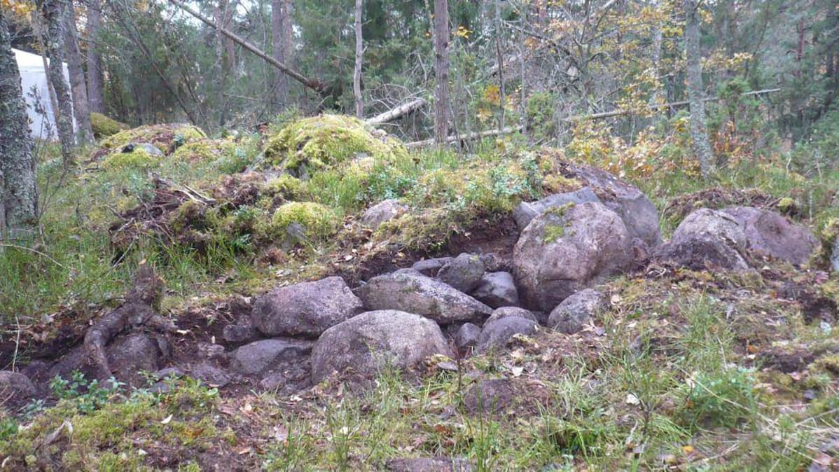 Hangastenmäen linnavuoren länsimuuriin tehty kaivaus selvittää muurin pohjan rakennetta.