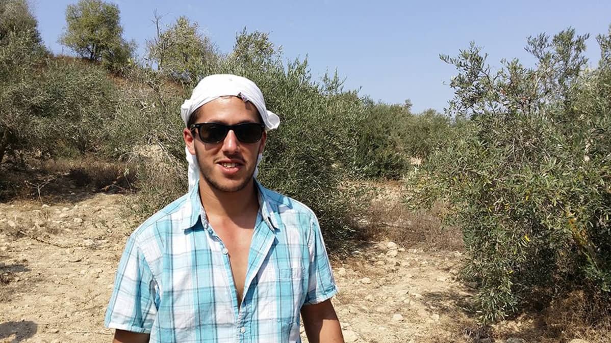 Palestiinalaisia oliiviviljelijöitä suojaamassa on myös israelilaisia nuoria.