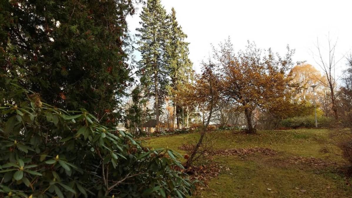 Kellokosken sairaalan miljöö on puistomainen.