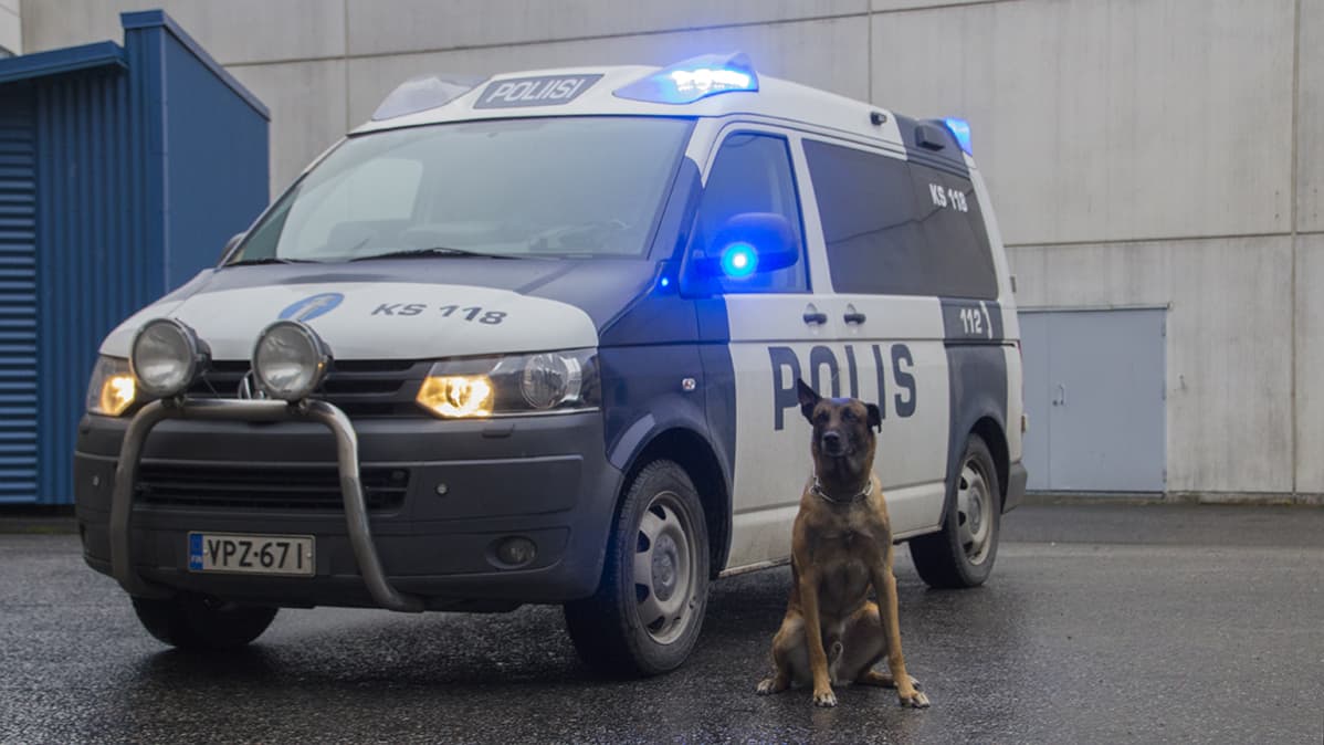 Poliisikoira auton edustalla.