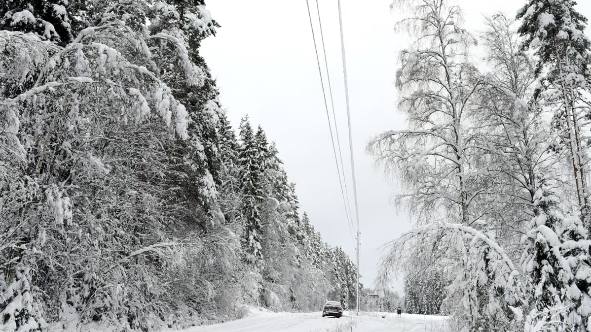 Lunta sähkölinjojen päällä Keuruun Huhkojärvellä.