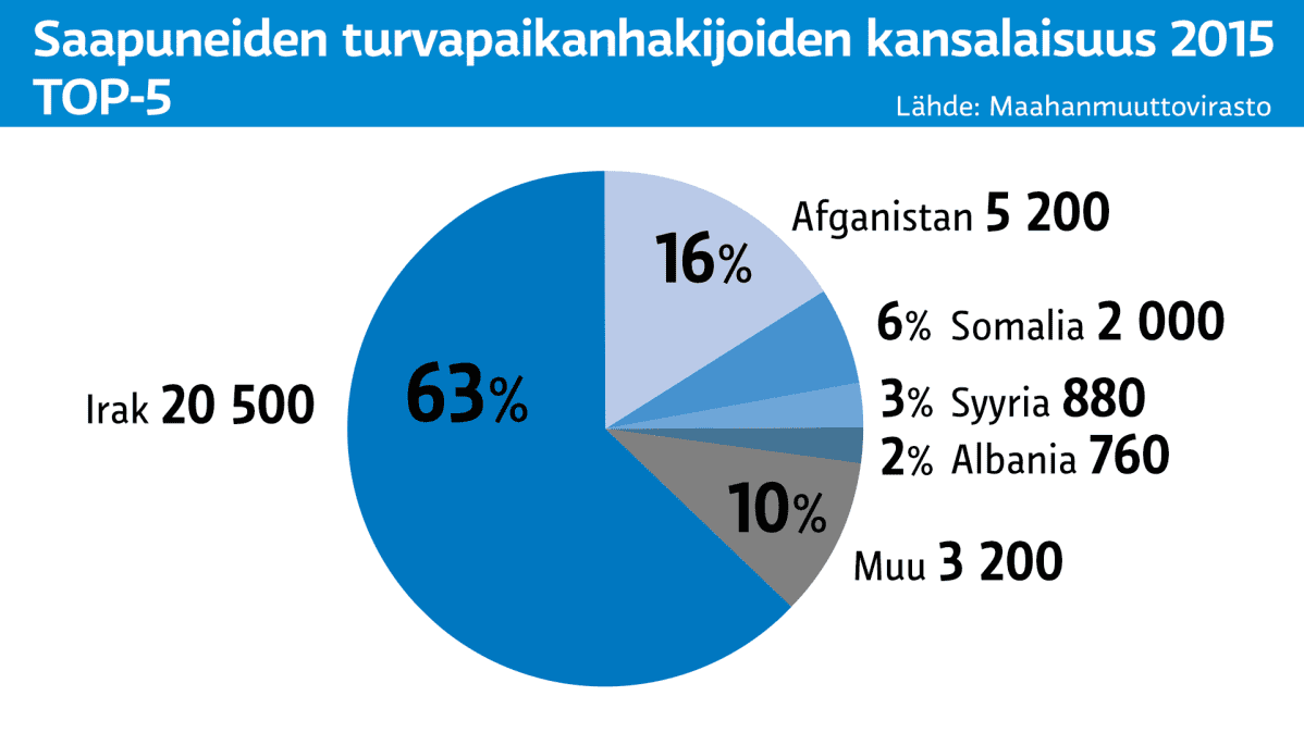 Grafiikka turvapaikanhakijoiden kansallisuuksista.