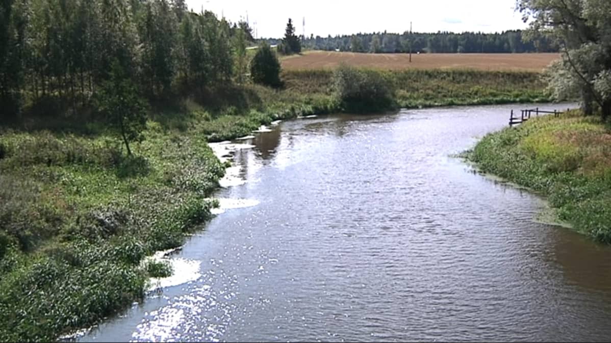 Loimijoki virtaa peltojen keskellä