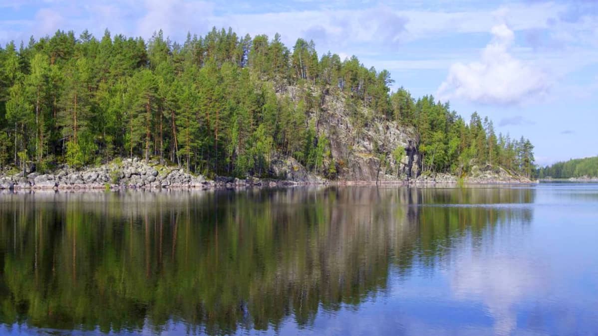 605 henkilöä mielii lammaspaimeneksi Koloveden maisemiin Etelä-Savoon.