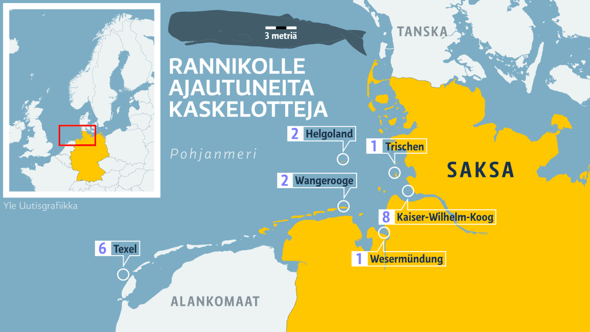 Infografiikka