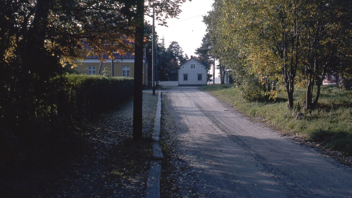 Katunäkymä Mäntykankaalta Kokkolasta syyskuussa 1984.