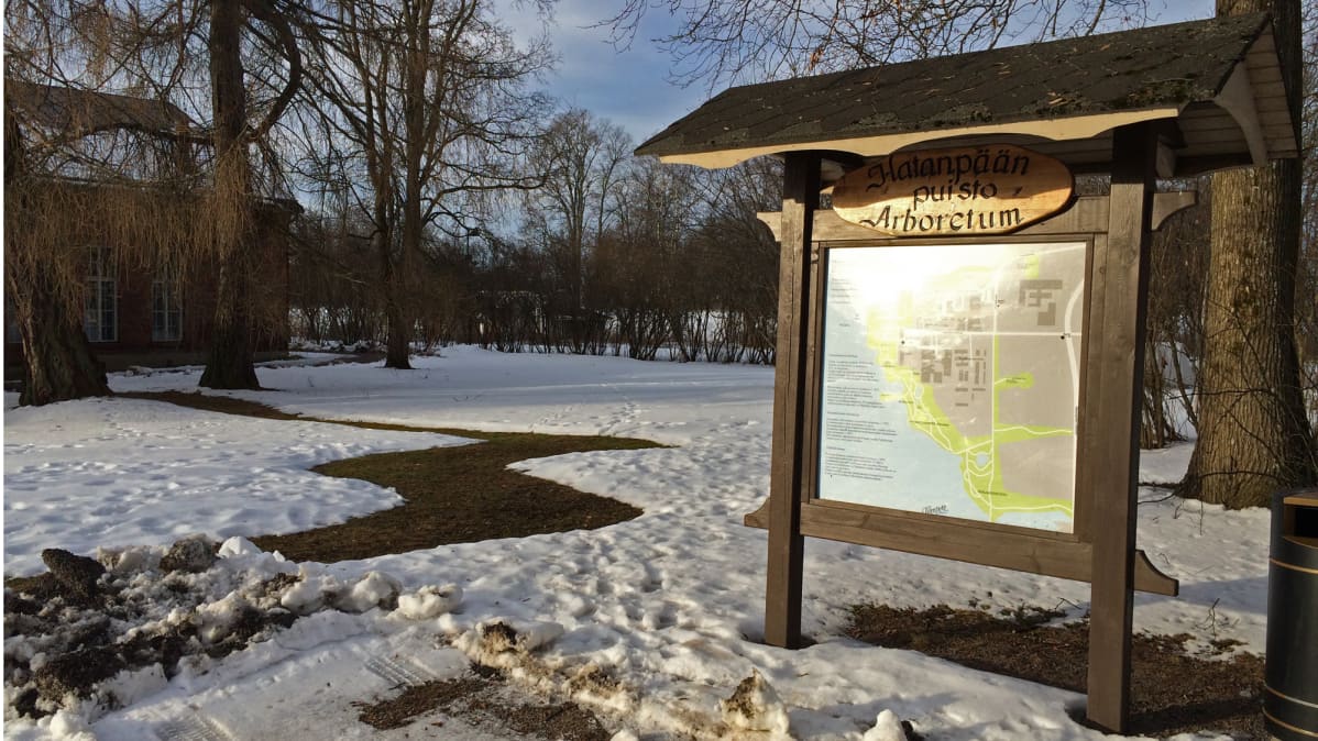 Aurinko paistaa Hatanpään Arboretumin opastauluun.