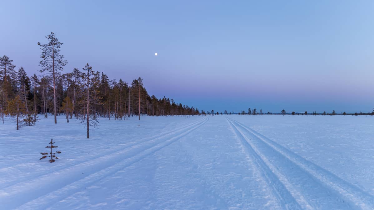 Viiankiaapa Sodankylässä