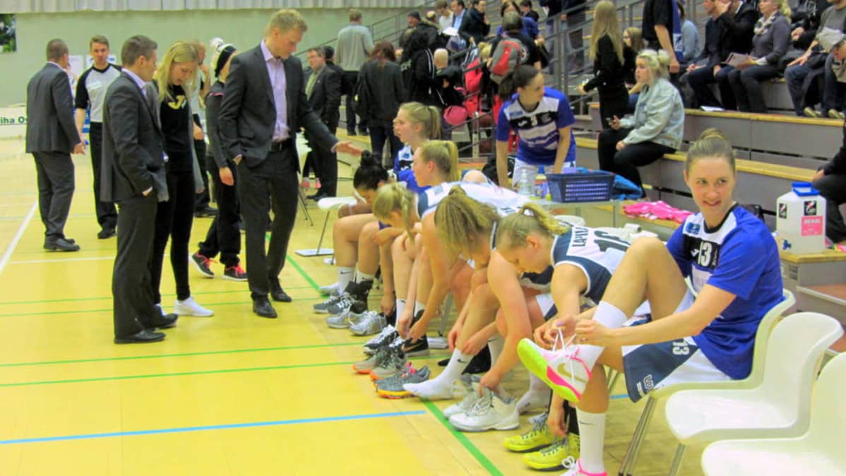 Lappeenrannan catz