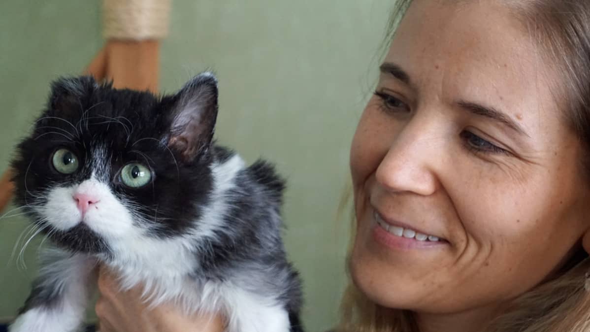 Sisu-kissa poseeraa lähikuvassa emäntänsä kanssa