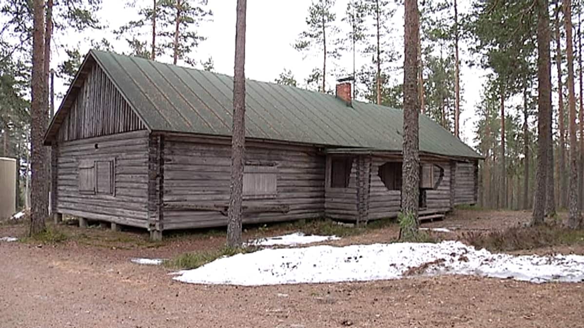 Viitasaaren metsämuseo