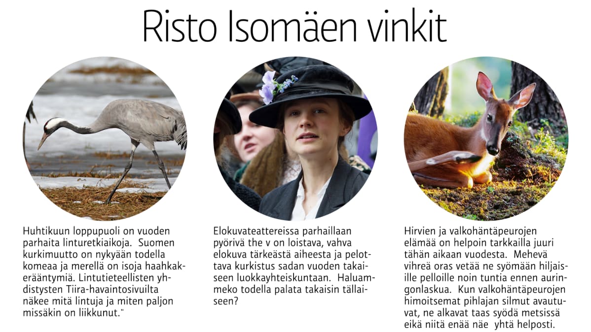 Grafiikka