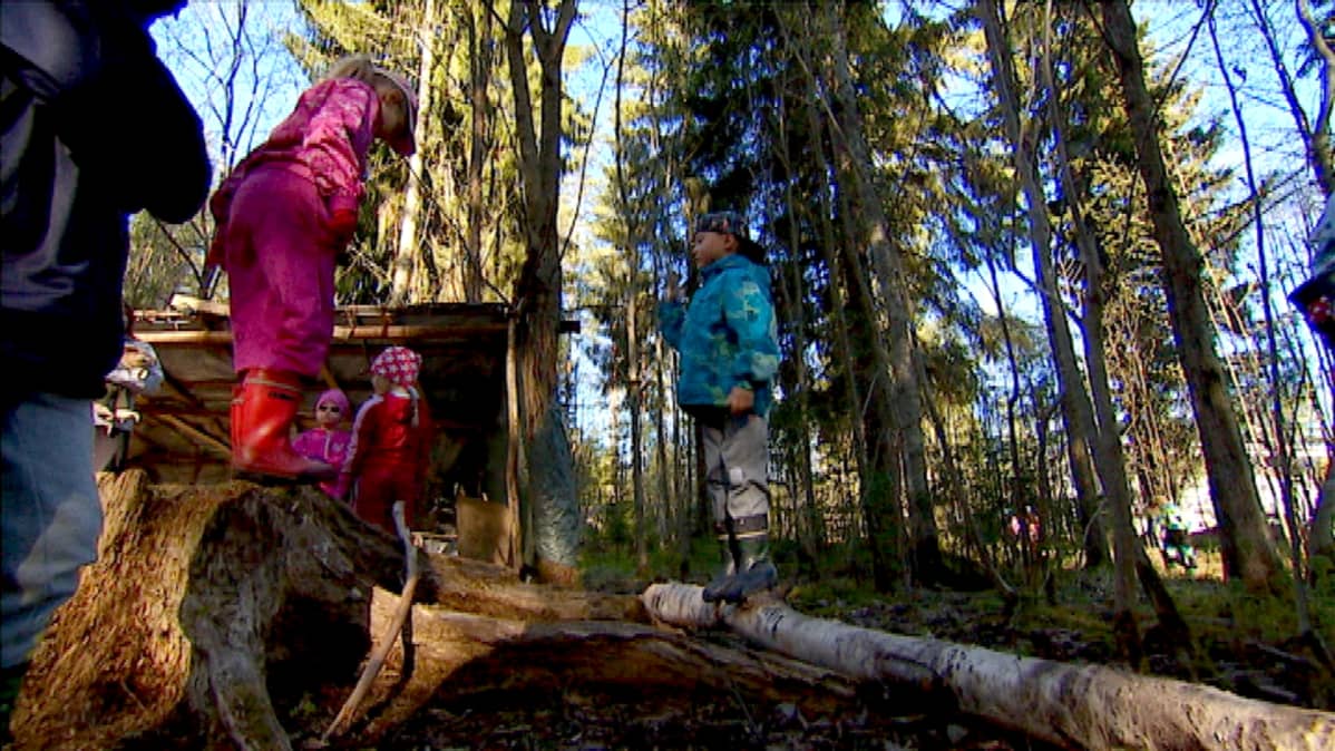 Eskarin elementtejä ovat aidot puut, metsäpolut ja monimuotoiset kivet.