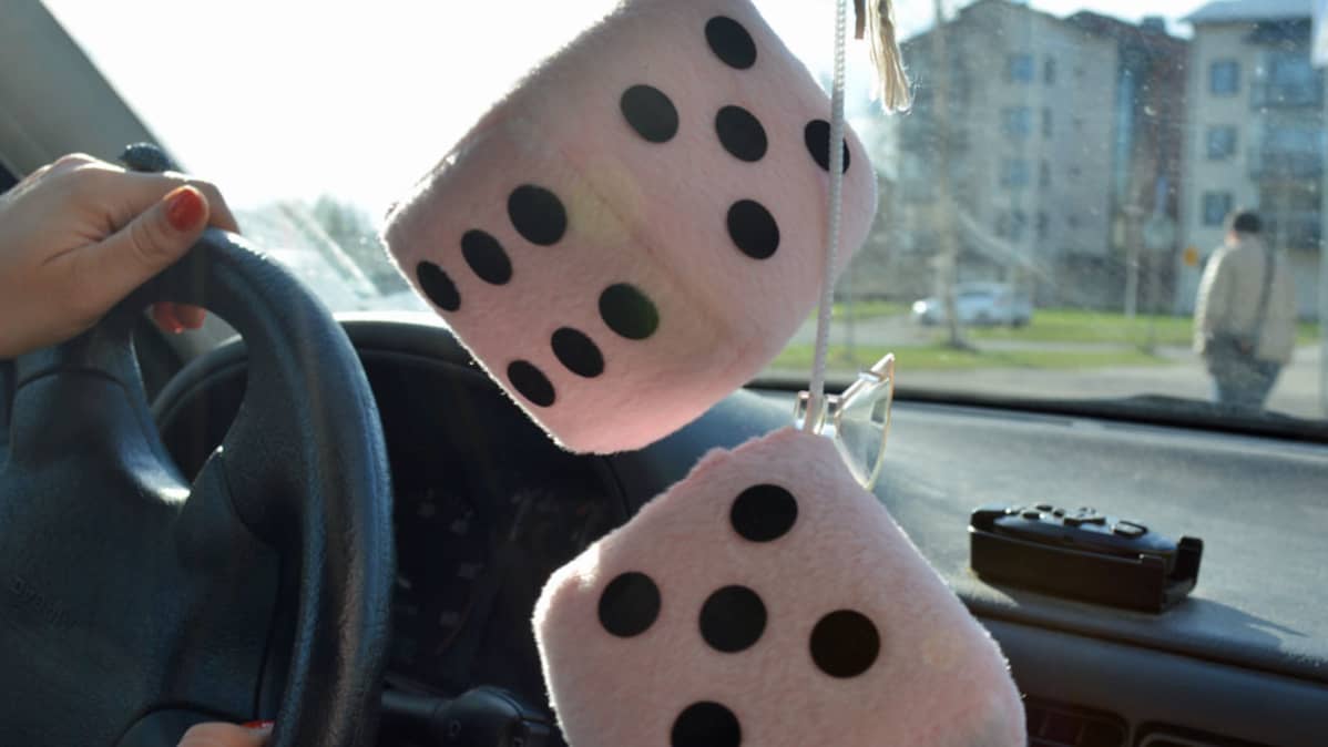 Karvanopat auton ikkunalla.