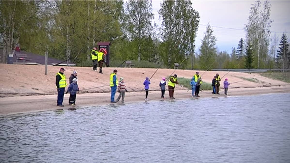 Onkojoita Pitkämön uimarannalla