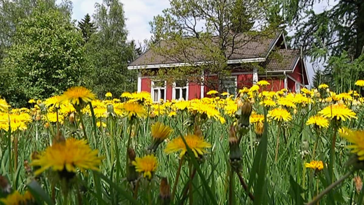 Vinnin tila Jämsässä
