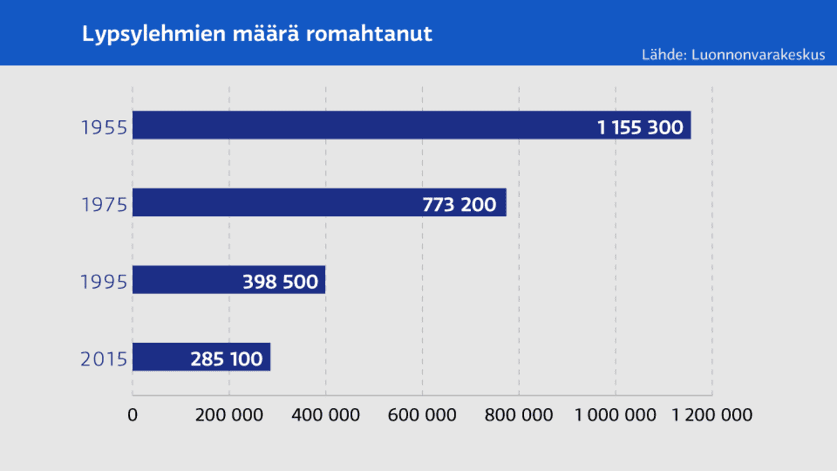 Grafiikka
