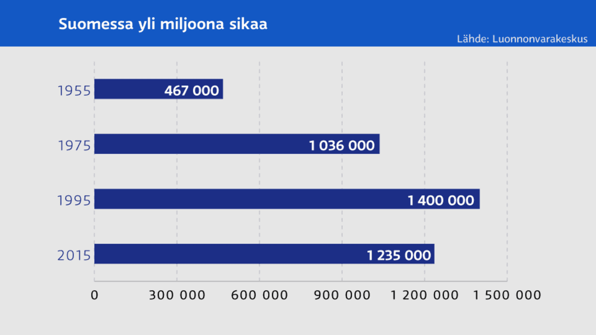 Grafiikka