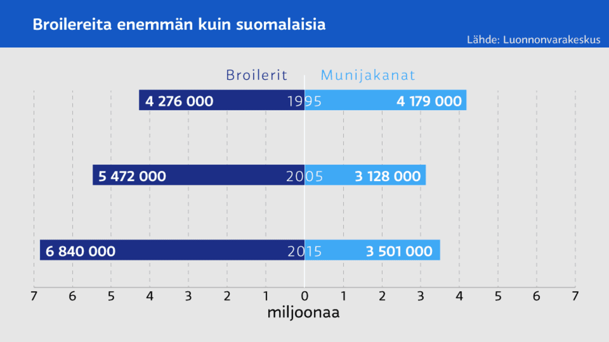 Grafiikka