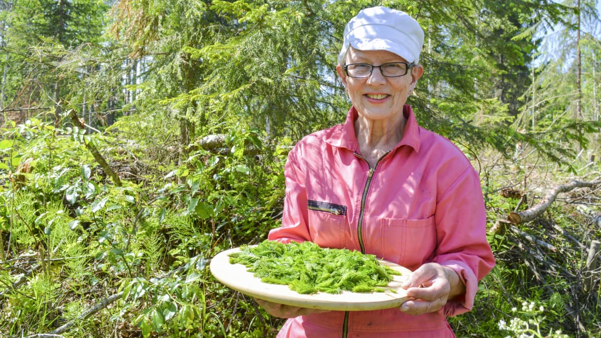 Kuusenkerkkä lautanen ja Raija Kauppinen