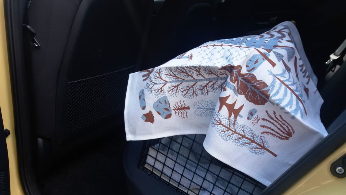 Pyyheliinalla peitetty kissan kuljetushäkki autossa