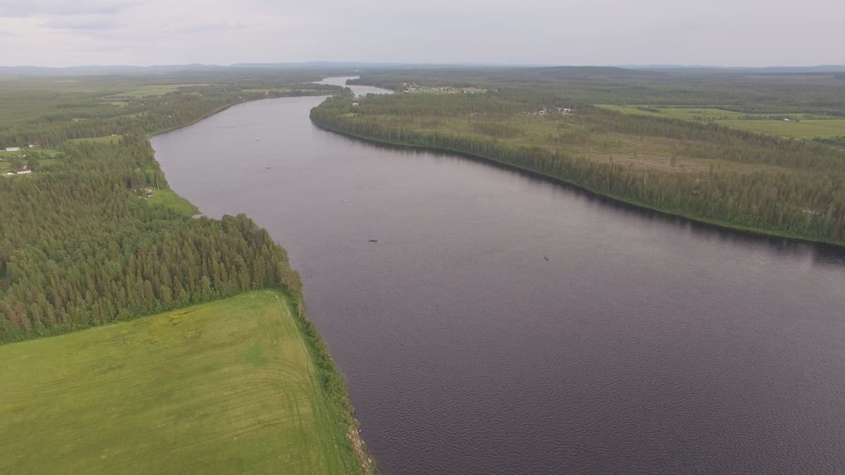 Pieniä lohensoutuveneitä Tornionjoen Jouttensuvannon vaiheilla 27.6.2016