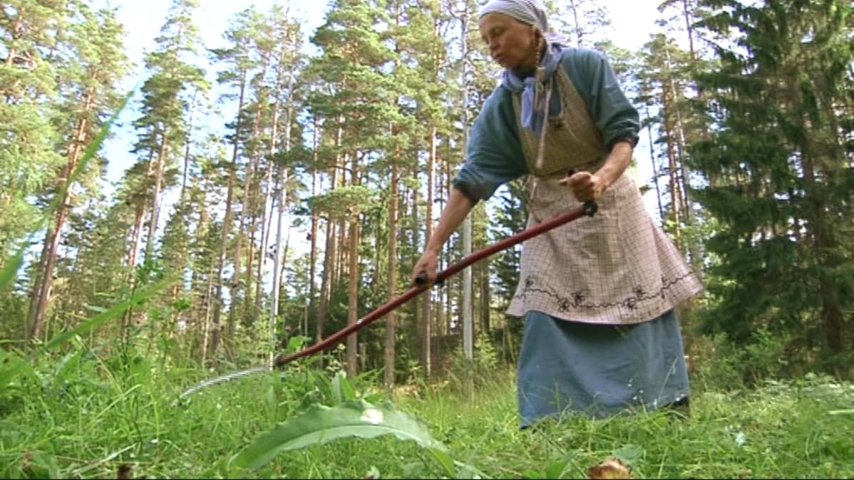 Tilan emäntä niittää viikatteella heinää