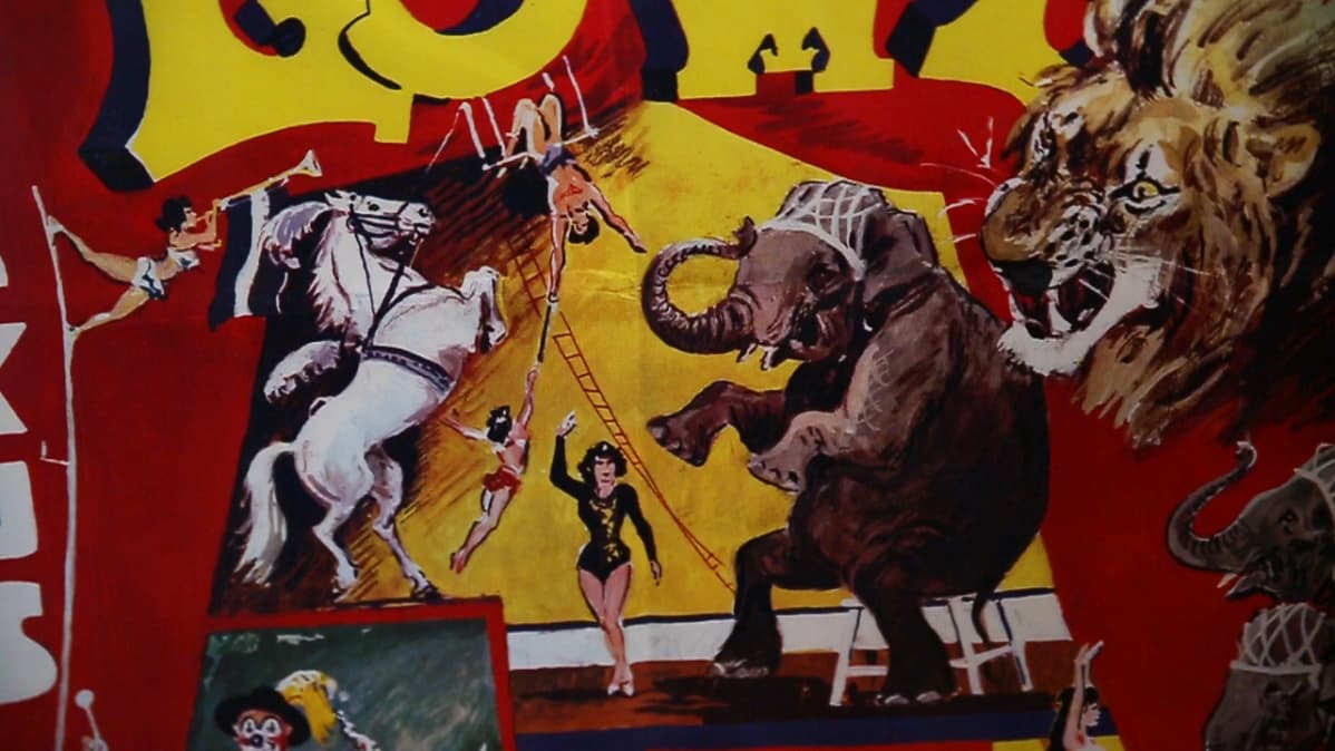 sirkus, hippodrom