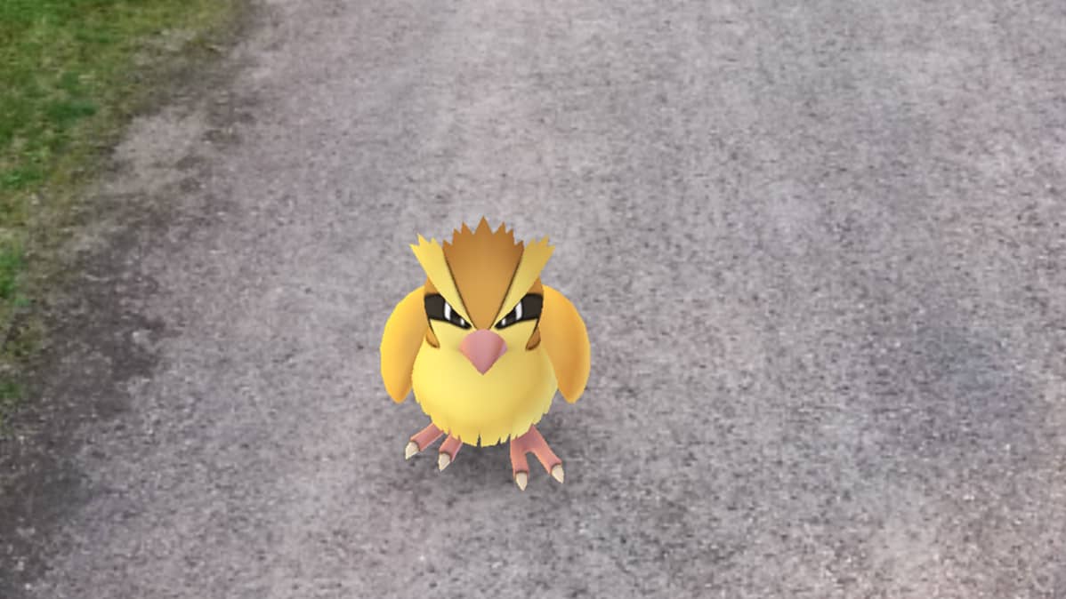 Pokemon GO -pelin kuvaa.