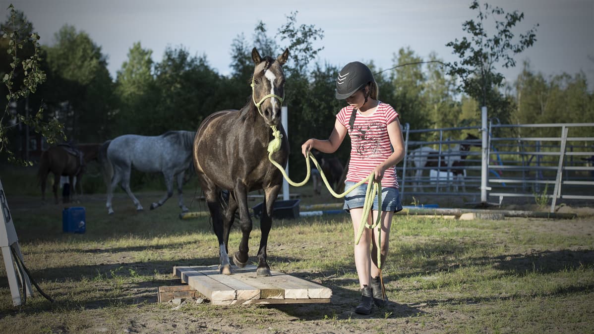 Hevonen ja ihminen tehtäväradalla.