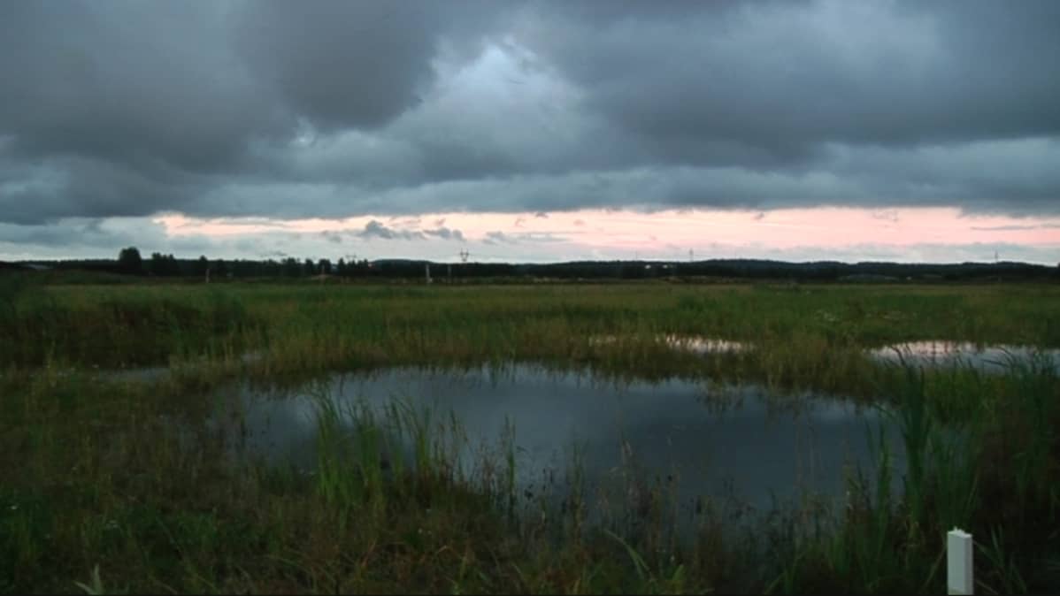 suomaisema auringonlaskussa