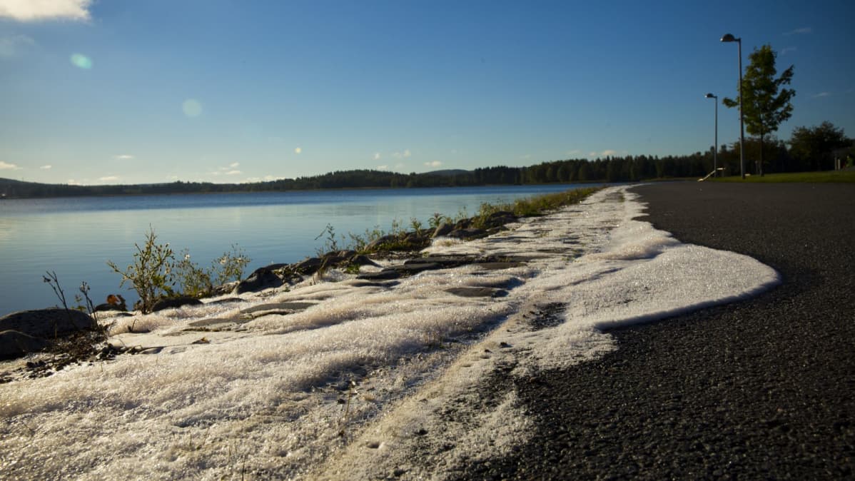 Sokerivaahto on luonnonmukainen torjuntakeino.
