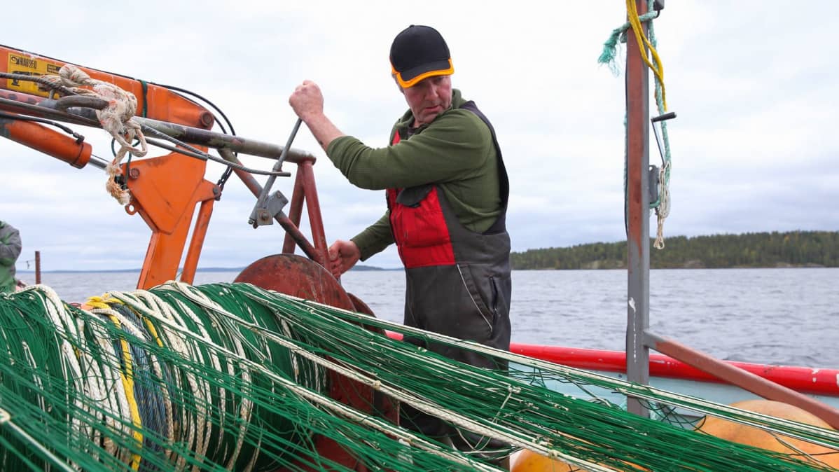 Sorvarin trooli on Päijänteeseen sopiva ja 300 metriä pitkä.