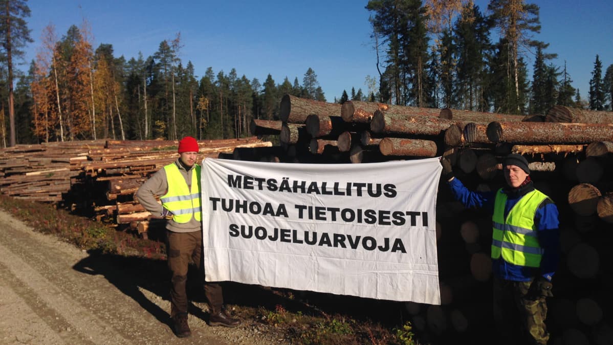 Luonto-Liiton hakkuita vastustava metsäryhmä.