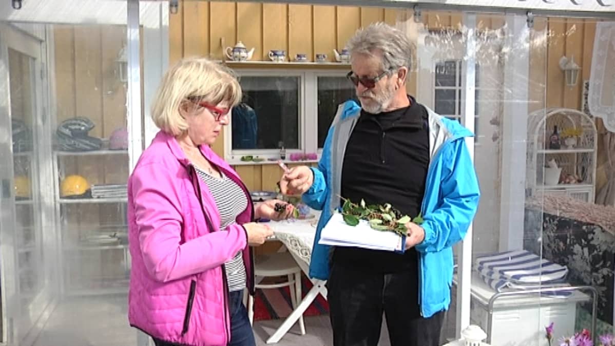 Aila Hellsten saa neuvoja Arno Kasvilta.