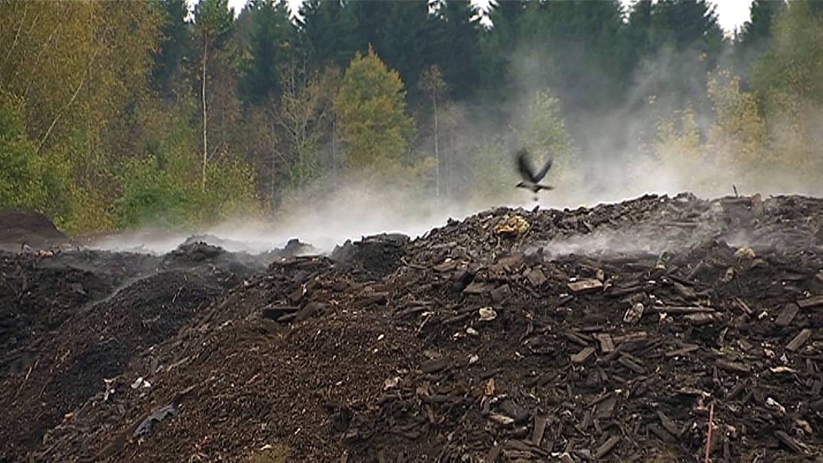 Kukkuroinmäen kompostointilaitoksen multakasoja