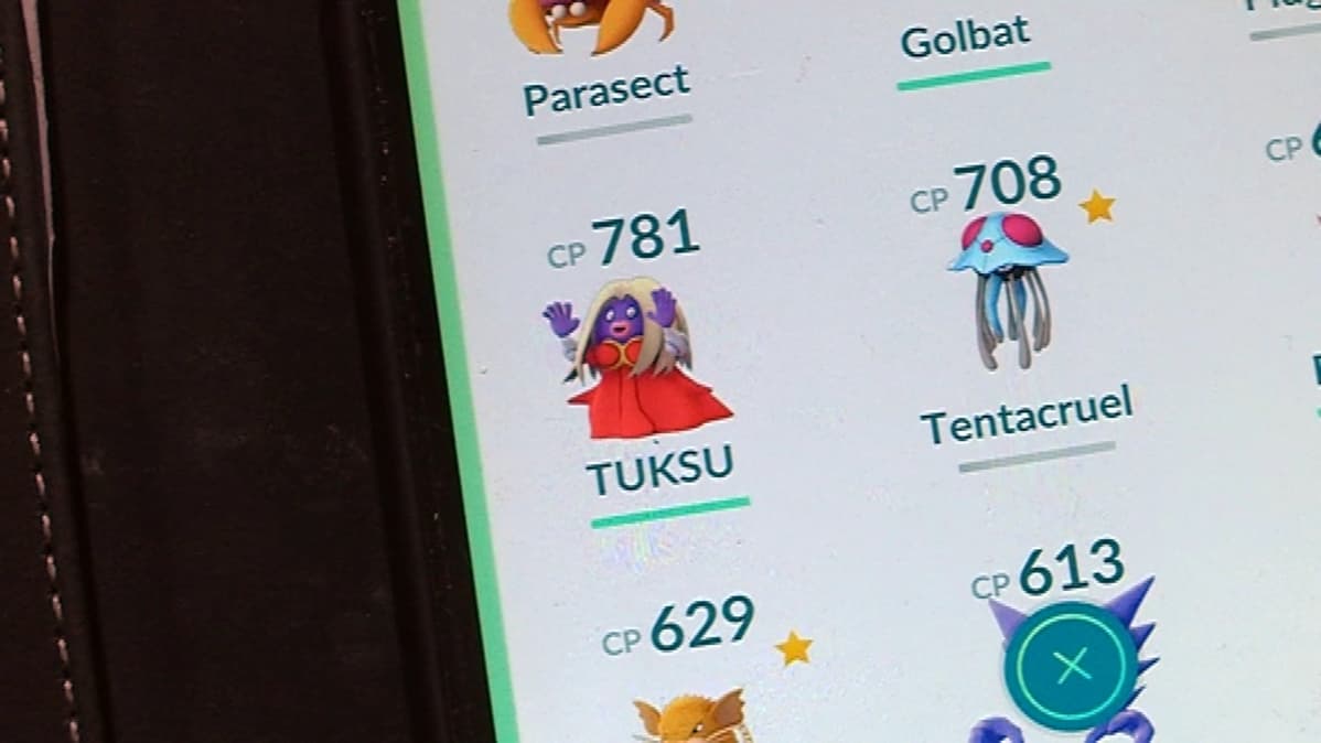 Ritvan Pokemoneja.