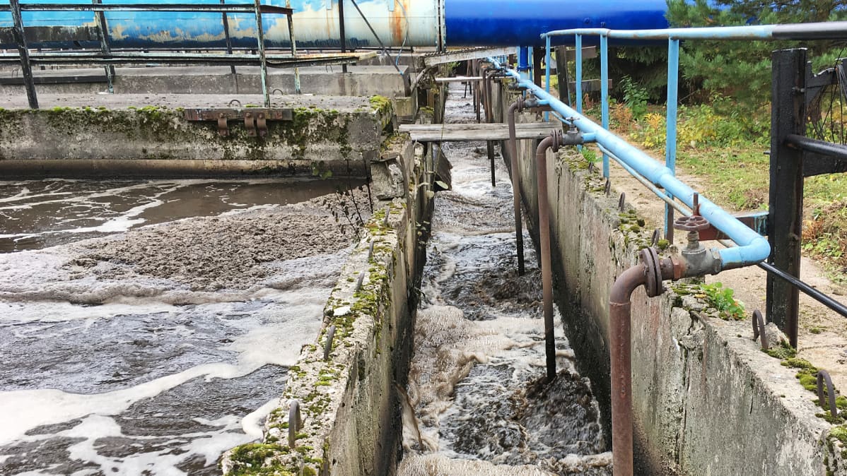 Viipurin jätevedenpuhdistamon ilmastusallas
