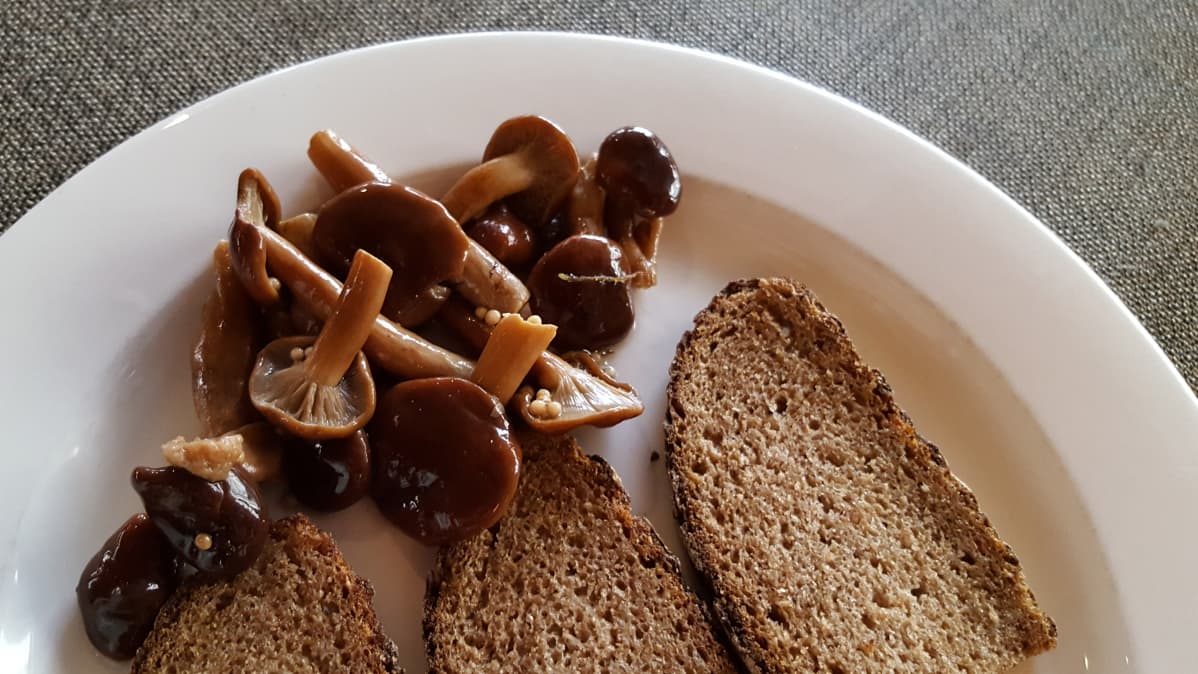 Marinoituja kangasrouskuja lautasella.