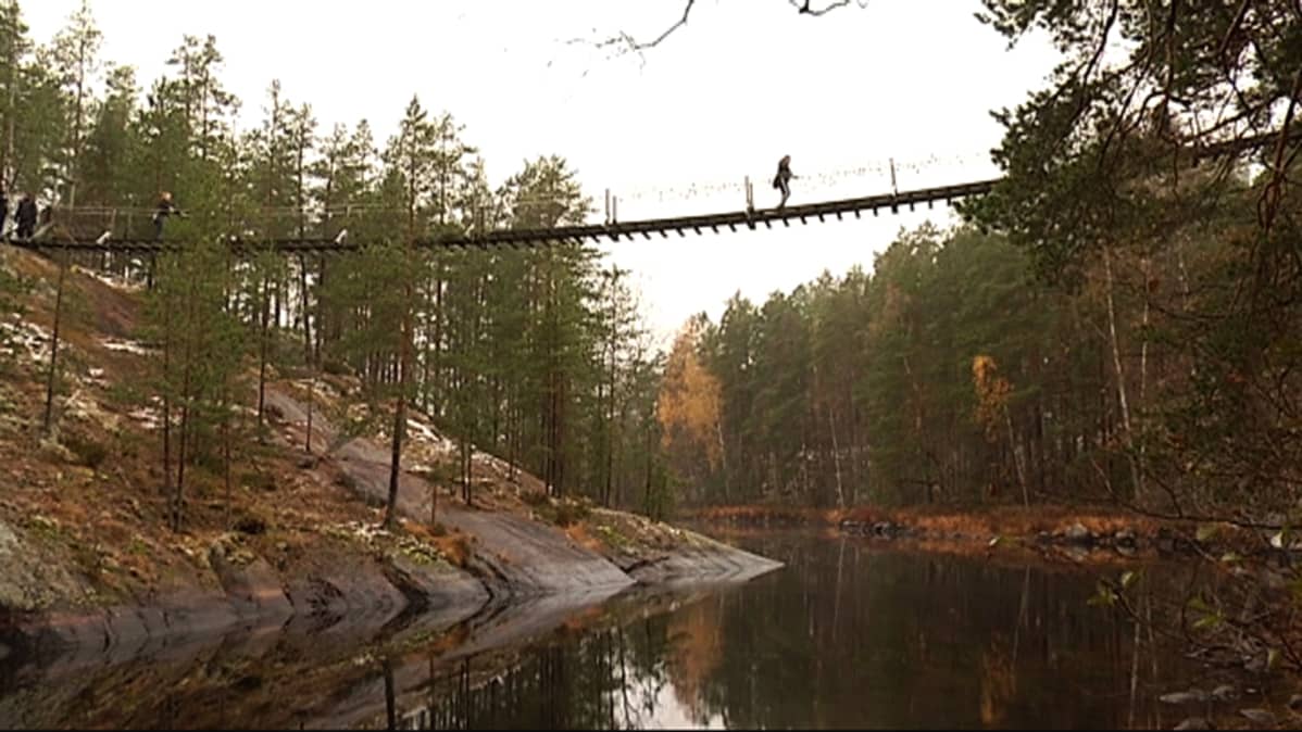 Lapinsalmen riippusilta Repoveden kansallispuistossa