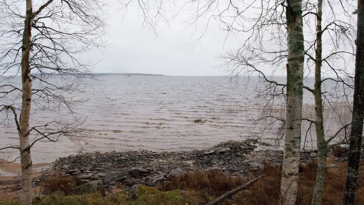 Sateinen näkymä Oulujärven rannalta.