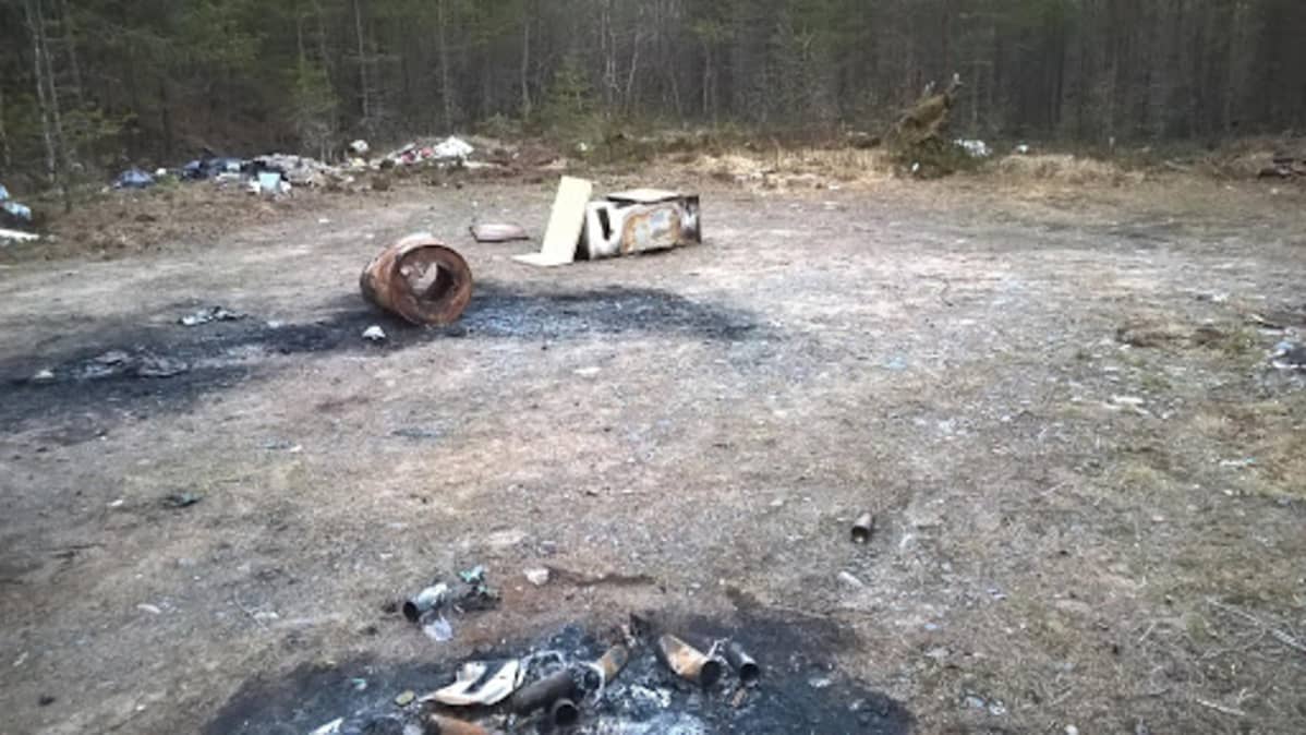 Roskia keskellä metsää.