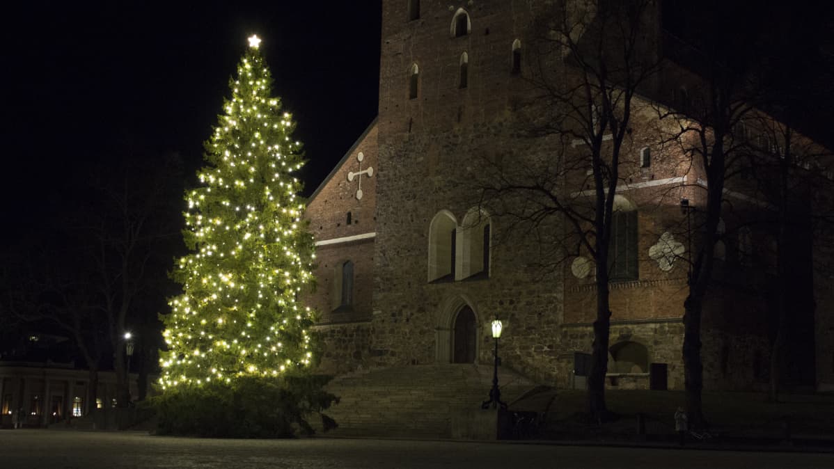 Tuomiokirkon joulukuusi vuonna 2016.